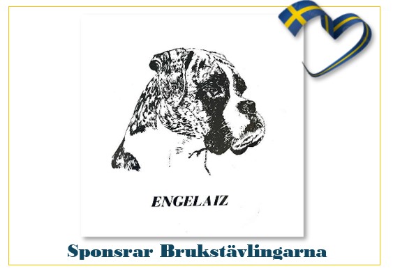 Engelaiz