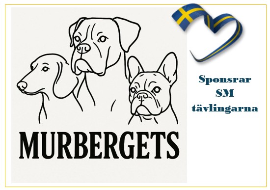 Murbergets