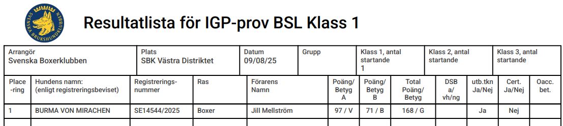 BSL 1