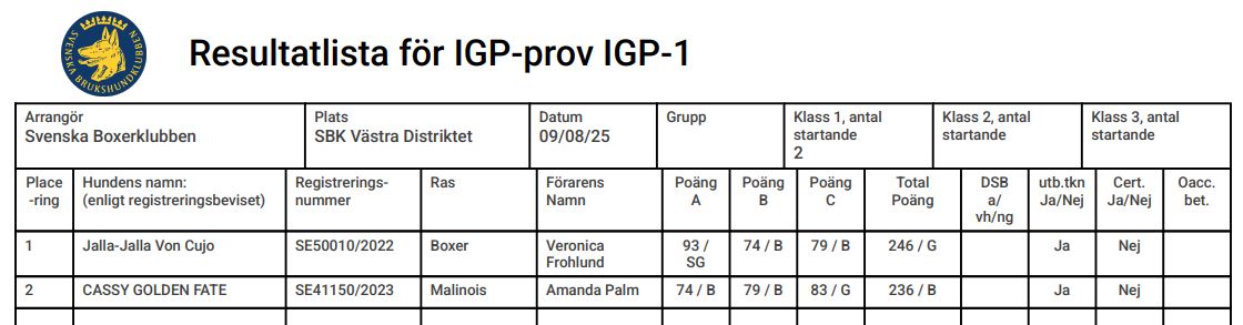 IGP 1