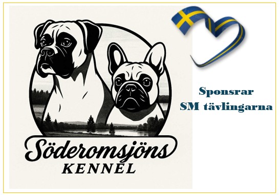 Söderomsjöns