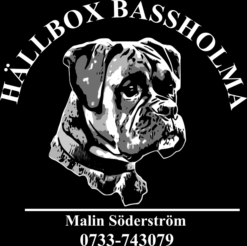 hällbox bassholma