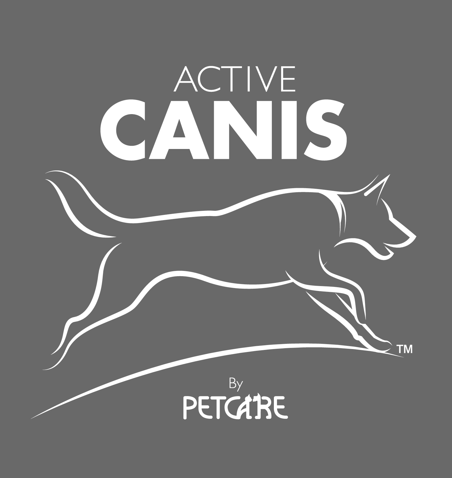 loggaActiveCanis