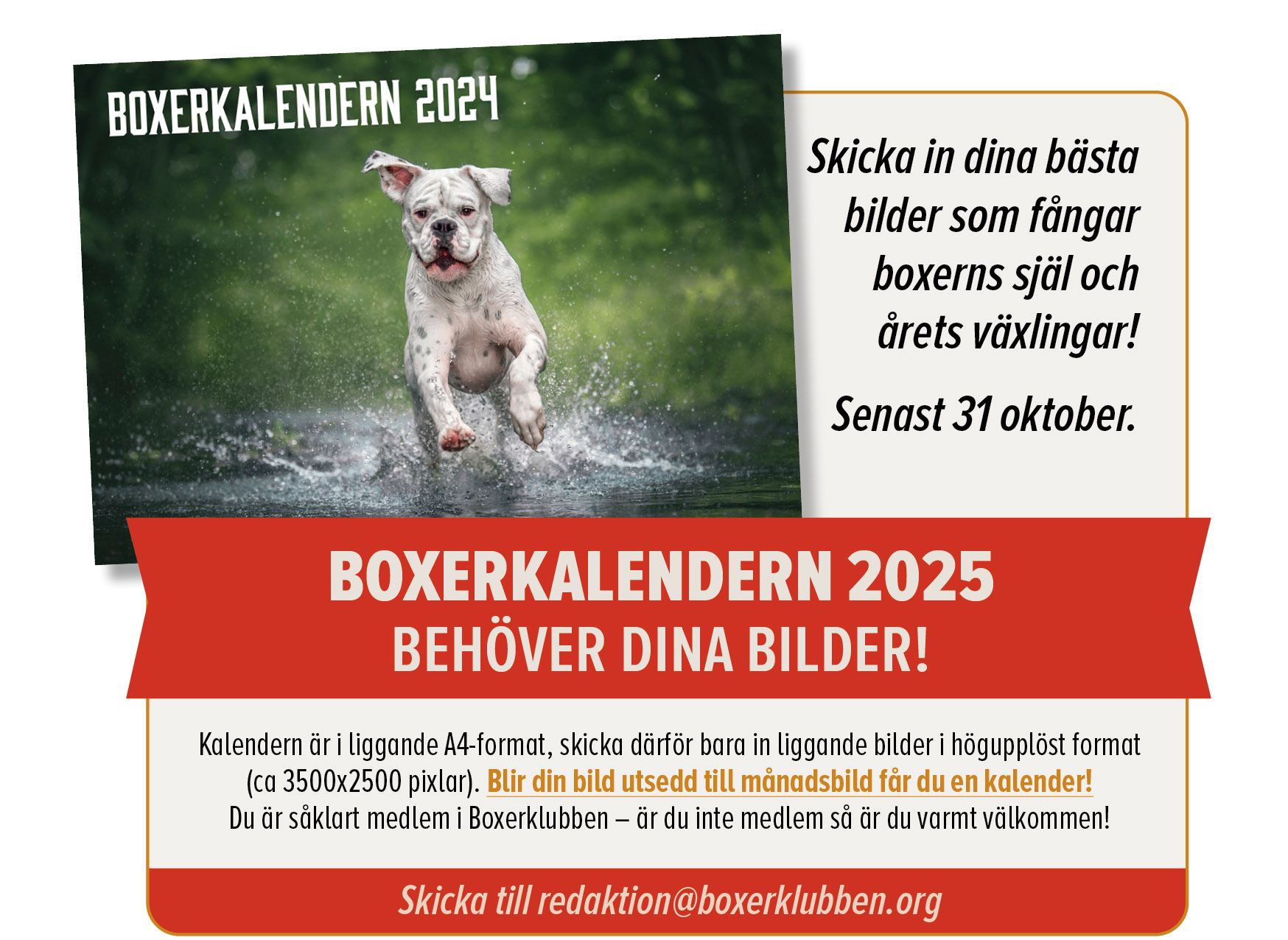 boxerkalenderpuff2025