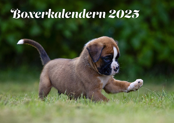 puffKalender2025Clean