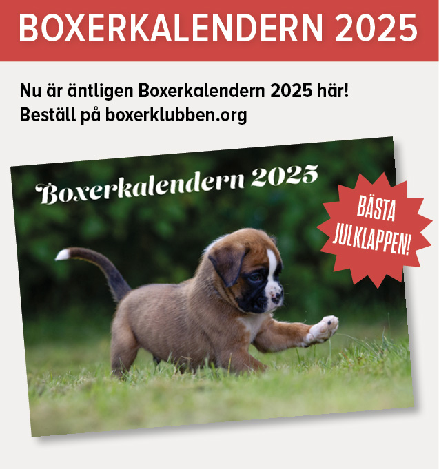 Beställ Boxerkalendern 2025