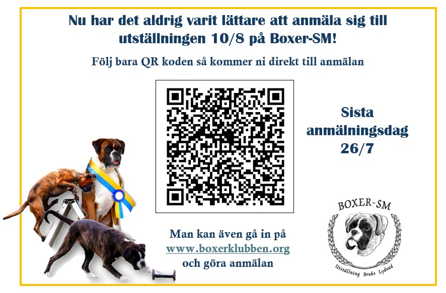 anmalanUtstallningSm2025