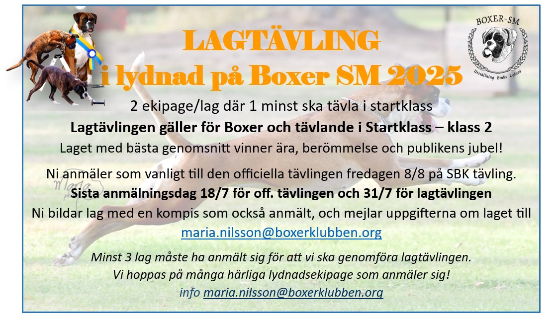 smMingel2025